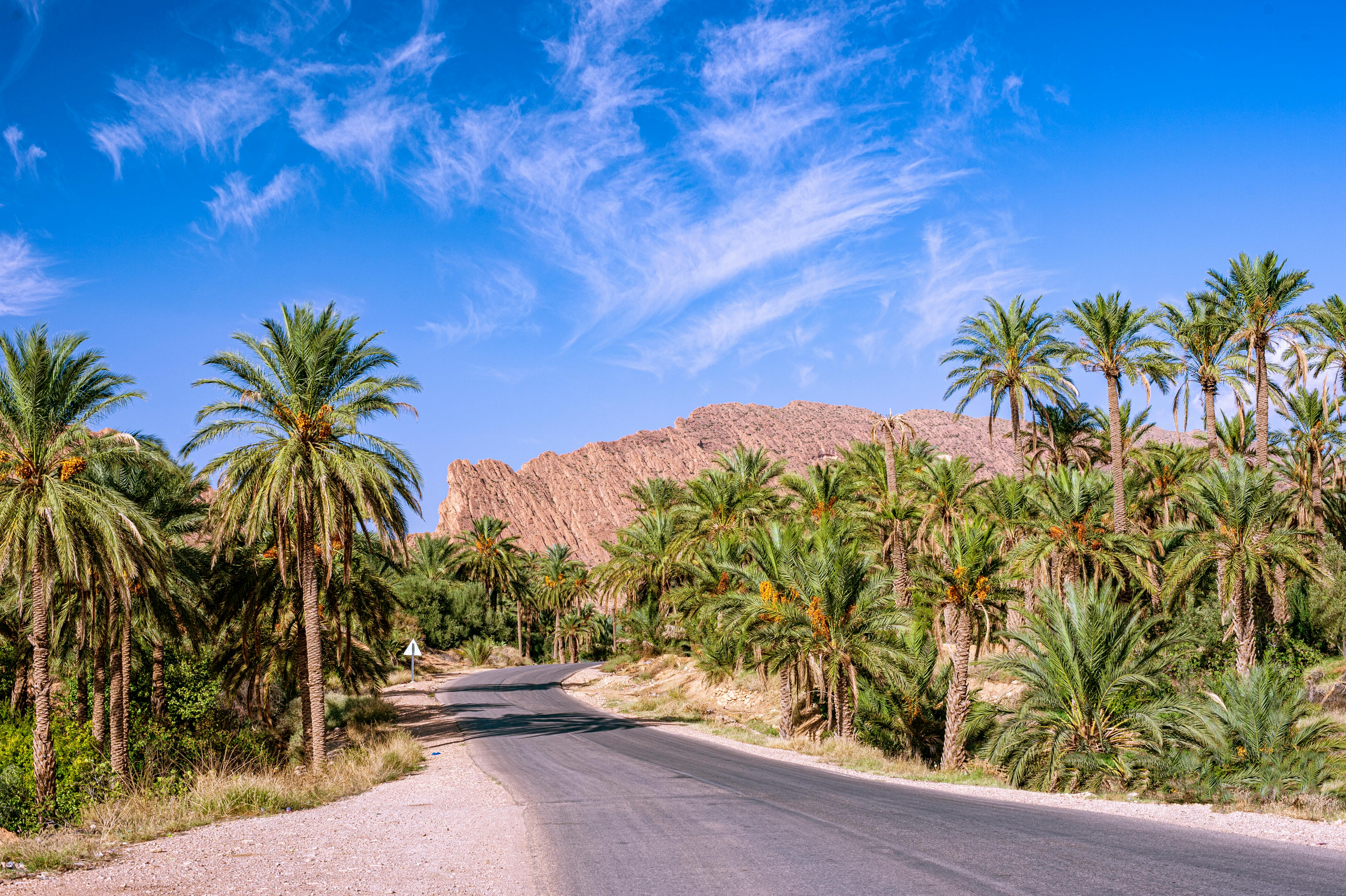 Valle de Ziz Desierto